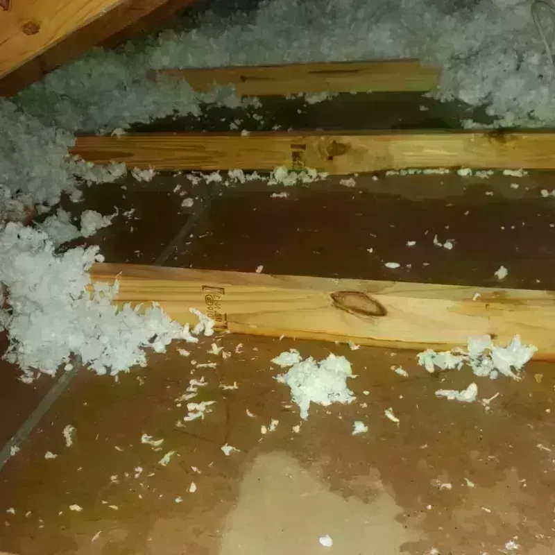 Attic Water Damage in Fairbury, IL