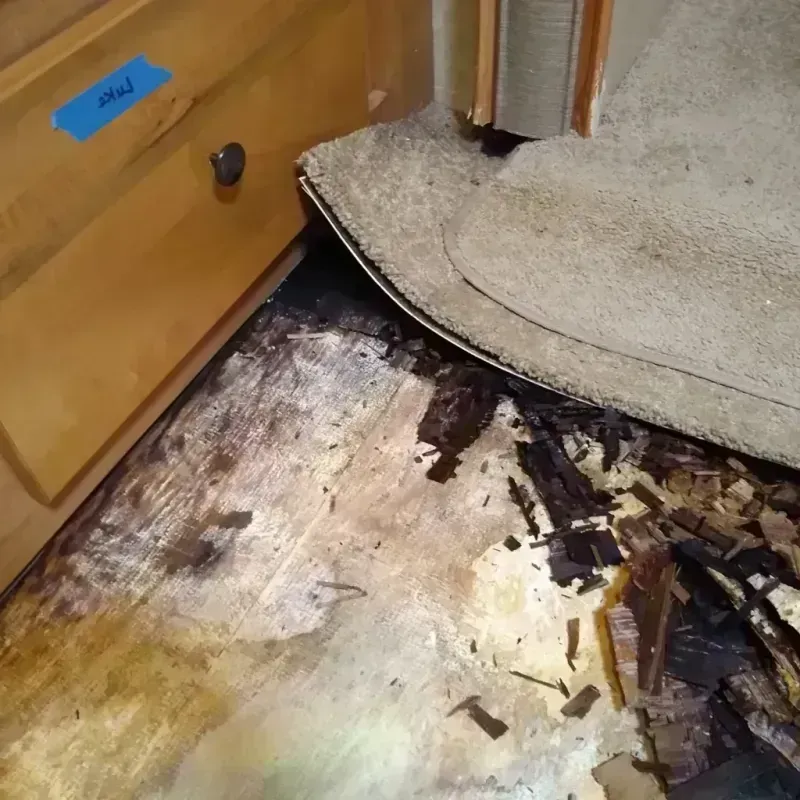 Wood Floor Water Damage in Fairbury, IL